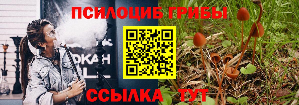 Псилоцибиновые грибы Magic Shrooms  Псилоцибиновые грибы прущие грибы  Куйбышев  Вход с VPN 